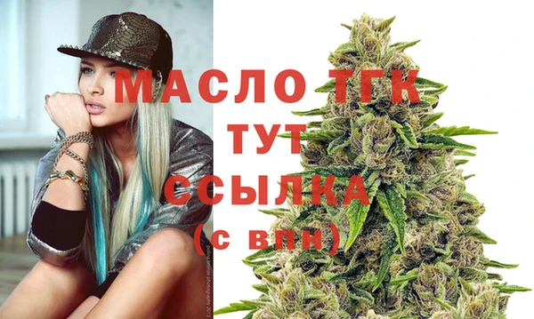 спиды Богородицк