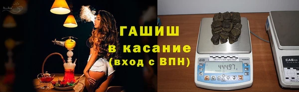 спиды Богородицк
