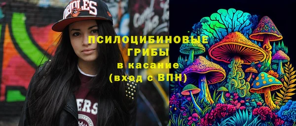 спиды Богородицк
