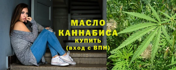 спиды Богородицк