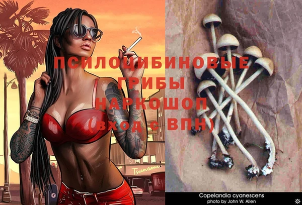 спиды Богородицк