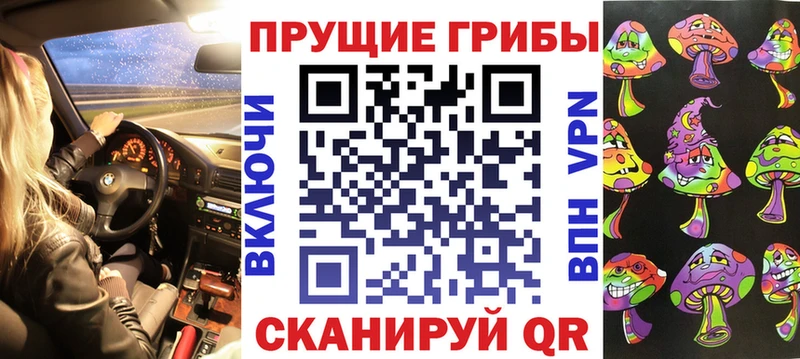 Купить где  Лабинск  Псилоцибиновые грибы Psilocybe 